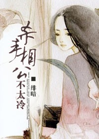 杀手相公不太冷封面