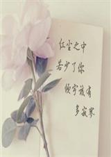 倾尽天下乱世繁华t 倾尽天下乱世繁华t