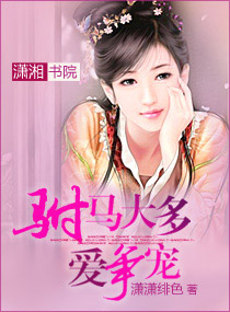 驸马太多爱争宠 驸马太多爱争宠