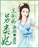 王爷的另类妃 王爷的另类妃