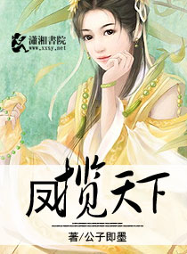 凤揽天下 凤揽天下