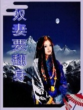 奴妻要翻身封面