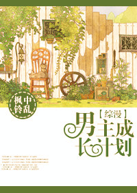男主成长计划封面