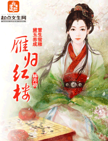 (红楼梦同人)雁归红楼封面