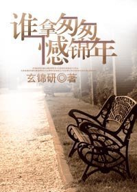 谁拿匆匆憾锦年封面