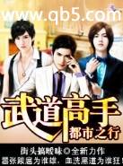 武道高手都市之行 武道高手都市之行