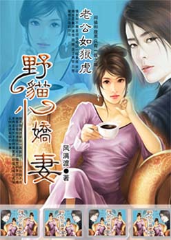 野猫小娇妻封面