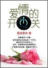 爱情的开关封面