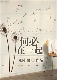 何必在一起封面