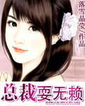 总裁耍无赖封面