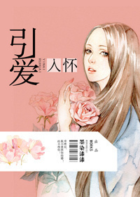 引爱入怀封面