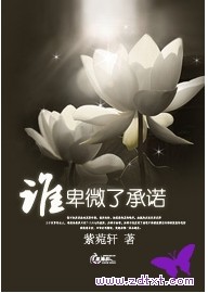 谁卑微了承诺封面