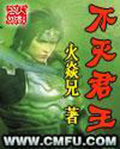 不灭君王封面