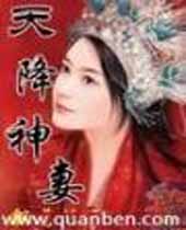 天降神妻封面