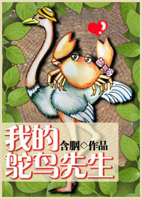 我的鸵鸟先生封面