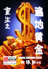 重生之遍地黄金封面