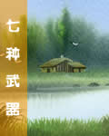 七种武器封面