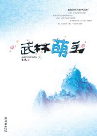 武林萌主封面
