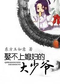 娶不上媳妇的大少爷 经典收藏版封面