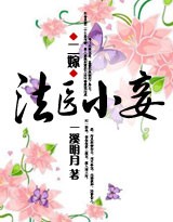二嫁:法医小妾(全本)封面