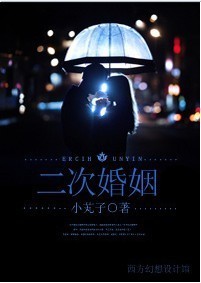 二次婚姻封面