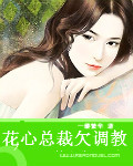 花心总裁欠调教封面