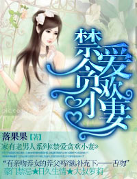 禁爱贪欢小妻封面