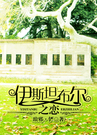 伊斯坦布尔之恋封面