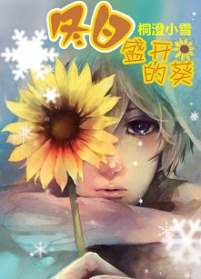 冬日盛开的葵封面