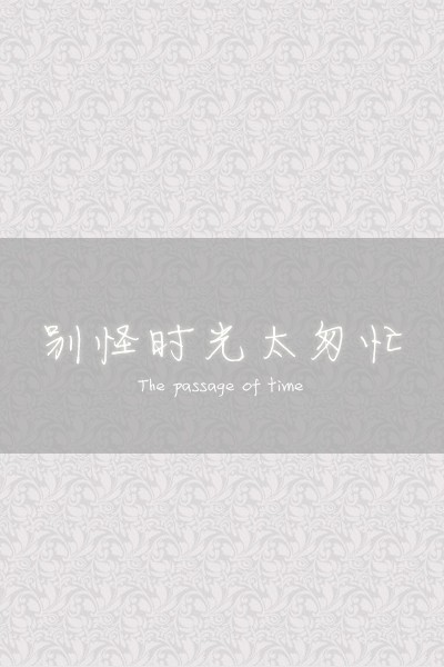 别怪时光太匆忙封面