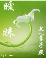 我的婚礼谁做主封面