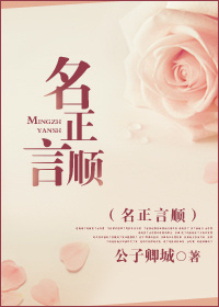 名正言顺封面
