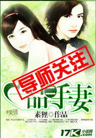 一品二手妻封面