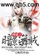 网游之暗影舞贼 网游之暗影舞贼