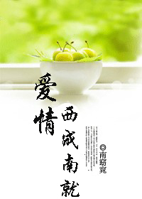 爱情西成南就 爱情西成南就