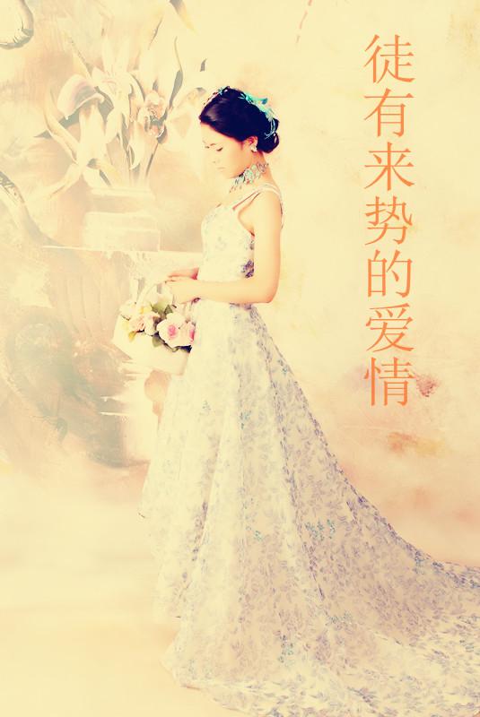 徒有来势的爱情封面