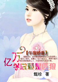 亿万老公是匹狼封面