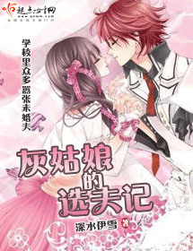 灰姑娘进化史封面