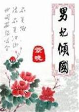 男妃倾国 男妃倾国