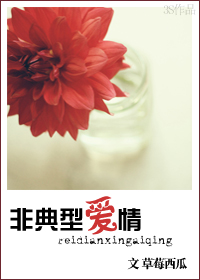 非典型爱情封面