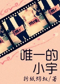 唯一的小宇封面