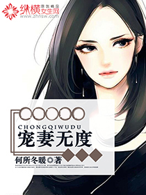 宠妻无度封面