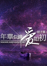 年华似锦爱如初封面