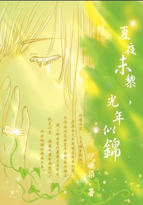 夏夜未黎,光年似锦封面