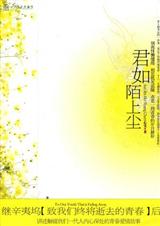 君如陌上尘封面