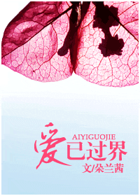 爱已过界封面
