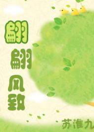 翩翩风致 翩翩风致