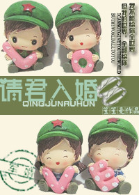 请君入婚封面