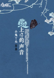 恋上你的声音封面