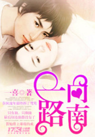 一路向南封面